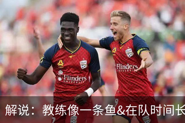 解说：教练像一条鱼&在队时间长了就会发臭 杜锋话语出现效应递减